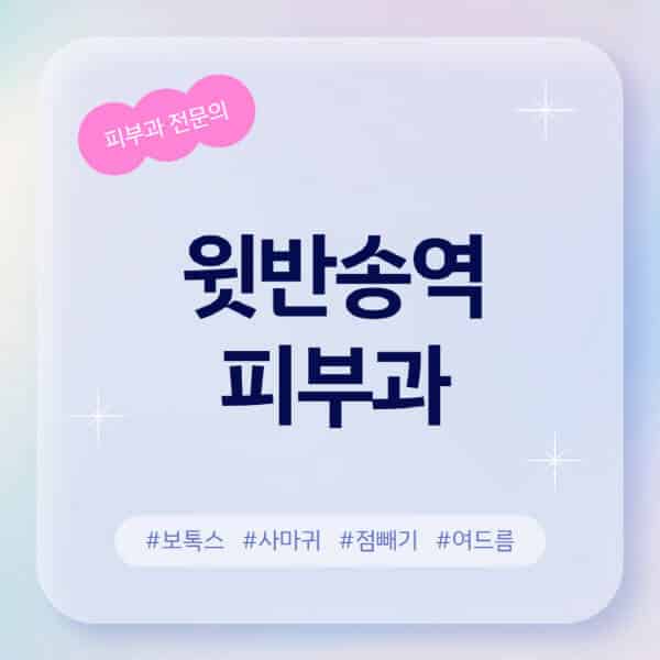 윗반송역-피부과-추천-후기-좋고-친절한-곳-근처-유명한-피부과-전문의-병원-찾기-여드름-레이저-제모-점빼기-보톡스-아토피-무좀-사마귀
