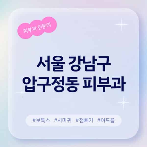 서울 강남구 압구정동-피부과-추천-후기-좋고-친절한-곳-근처-유명한-피부과-전문의-병원-찾기-여드름-레이저-제모-점빼기-보톡스-아토피-무좀-사마귀