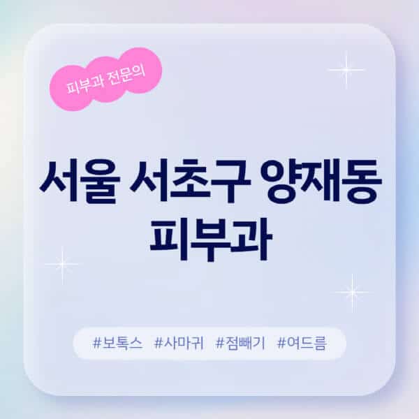 서울 서초구 양재동-피부과-추천-후기-좋고-친절한-곳-근처-유명한-피부과-전문의-병원-찾기-여드름-레이저-제모-점빼기-보톡스-아토피-무좀-사마귀