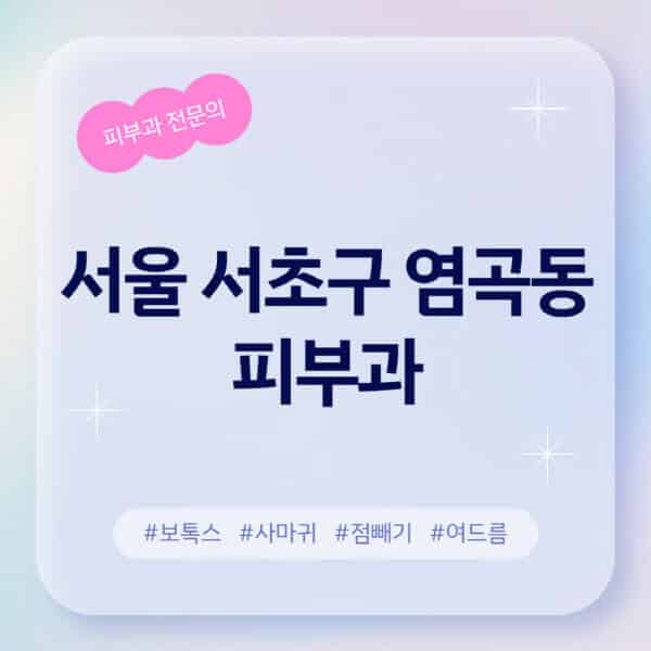 서울 서초구 염곡동-피부과-추천-후기-좋고-친절한-곳-근처-유명한-피부과-전문의-병원-찾기-여드름-레이저-제모-점빼기-보톡스-아토피-무좀-사마귀