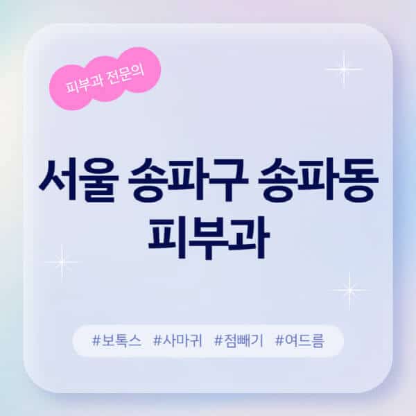 서울 송파구 송파동-피부과-추천-후기-좋고-친절한-곳-근처-유명한-피부과-전문의-병원-찾기-여드름-레이저-제모-점빼기-보톡스-아토피-무좀-사마귀