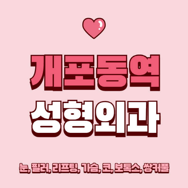개포동역-성형외과-추천-유명한-곳-일요일-전문의-잘하는-곳-눈-필러-리프팅-가슴-코-보톡스-쌍커풀-후기