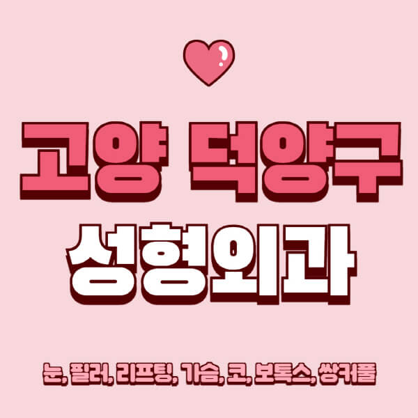 고양 덕양구-성형외과-추천-유명한-곳-일요일-전문의-잘하는-곳-눈-필러-리프팅-가슴-코-보톡스-쌍커풀-후기