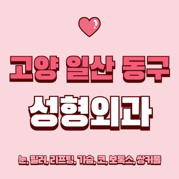 고양 일산 동구-성형외과-추천-유명한-곳-일요일-전문의-잘하는-곳-눈-필러-리프팅-가슴-코-보톡스-쌍커풀-후기