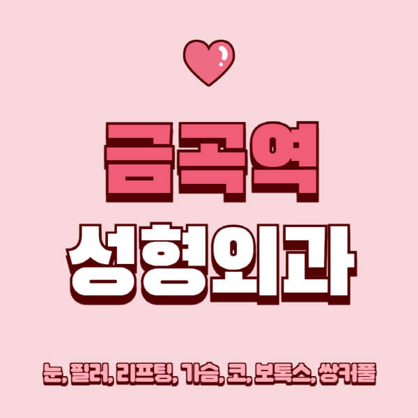 금곡역-성형외과-추천-유명한-곳-일요일-전문의-잘하는-곳-눈-필러-리프팅-가슴-코-보톡스-쌍커풀-후기