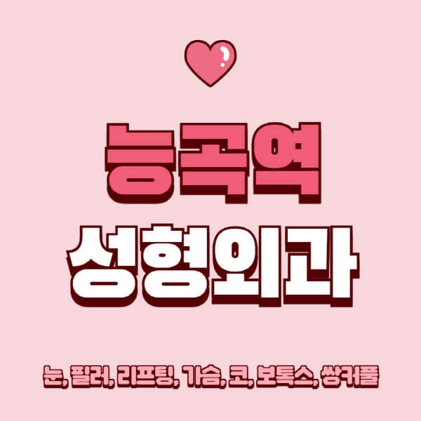 능곡역-성형외과-추천-유명한-곳-일요일-전문의-잘하는-곳-눈-필러-리프팅-가슴-코-보톡스-쌍커풀-후기