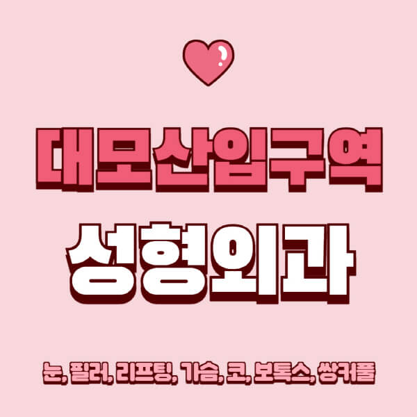 대모산입구역-성형외과-추천-유명한-곳-일요일-전문의-잘하는-곳-눈-필러-리프팅-가슴-코-보톡스-쌍커풀-후기