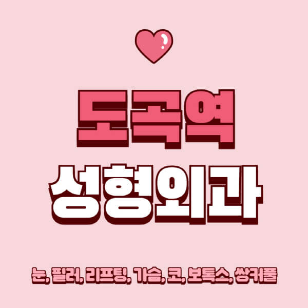 도곡역-성형외과-추천-유명한-곳-일요일-전문의-잘하는-곳-눈-필러-리프팅-가슴-코-보톡스-쌍커풀-후기