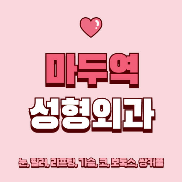 마두역-성형외과-추천-유명한-곳-일요일-전문의-잘하는-곳-눈-필러-리프팅-가슴-코-보톡스-쌍커풀-후기