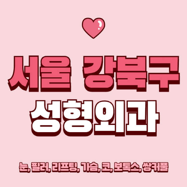 서울 강북구-성형외과-추천-유명한-곳-일요일-전문의-잘하는-곳-눈-필러-리프팅-가슴-코-보톡스-쌍커풀-후기