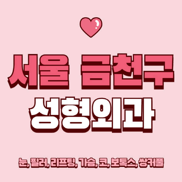 서울 금천구-성형외과-추천-유명한-곳-일요일-전문의-잘하는-곳-눈-필러-리프팅-가슴-코-보톡스-쌍커풀-후기