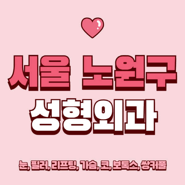 서울-노원구-성형외과-추천-유명한-곳-일요일-전문의-잘하는-곳-눈-필러-리프팅-가슴-코-보톡스-쌍커풀-후기