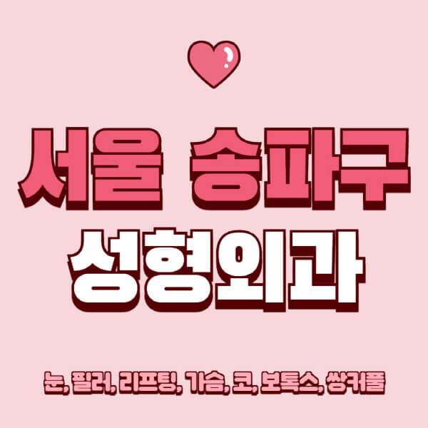서울 송파구-성형외과-추천-유명한-곳-일요일-전문의-잘하는-곳-눈-필러-리프팅-가슴-코-보톡스-쌍커풀-후기