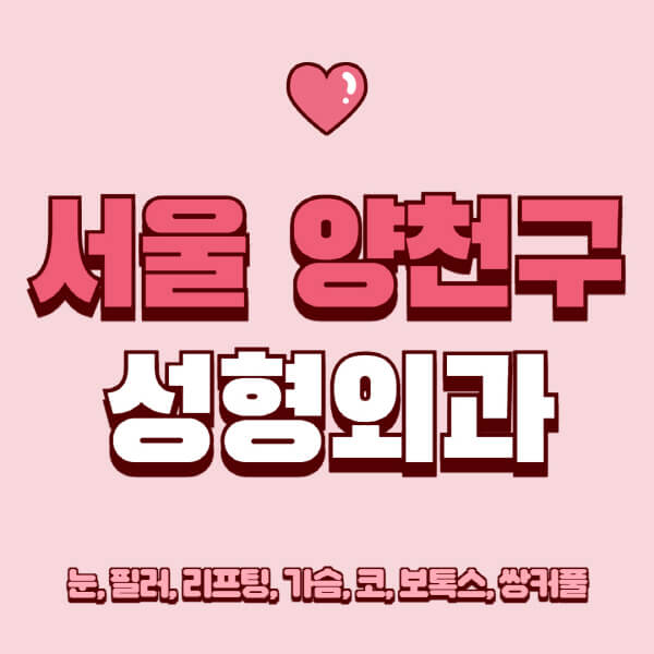 서울 양천구-성형외과-추천-유명한-곳-일요일-전문의-잘하는-곳-눈-필러-리프팅-가슴-코-보톡스-쌍커풀-후기