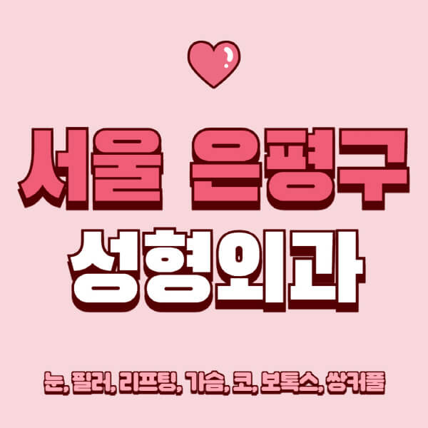 서울 은평구-성형외과-추천-유명한-곳-일요일-전문의-잘하는-곳-눈-필러-리프팅-가슴-코-보톡스-쌍커풀-후기