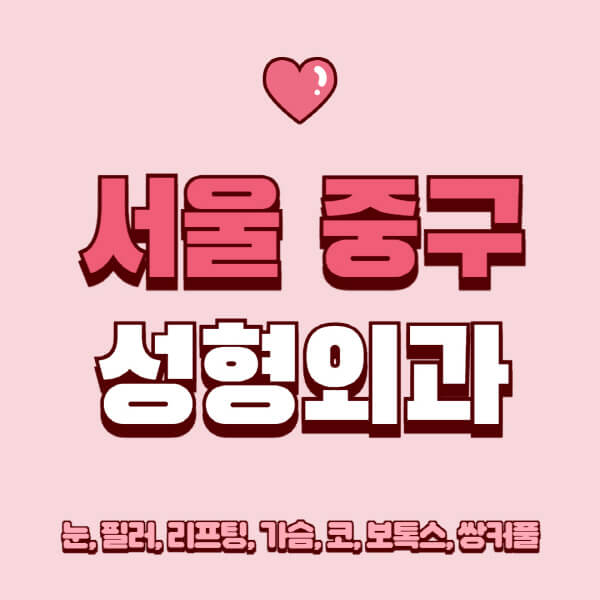 서울 중구-성형외과-추천-유명한-곳-일요일-전문의-잘하는-곳-눈-필러-리프팅-가슴-코-보톡스-쌍커풀-후기