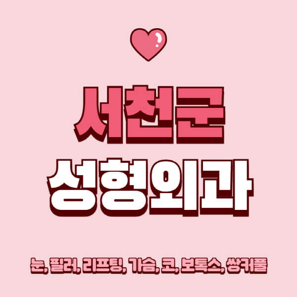 서천군-성형외과-추천-유명한-곳-일요일-전문의-잘하는-곳-눈-필러-리프팅-가슴-코-보톡스-쌍커풀-후기