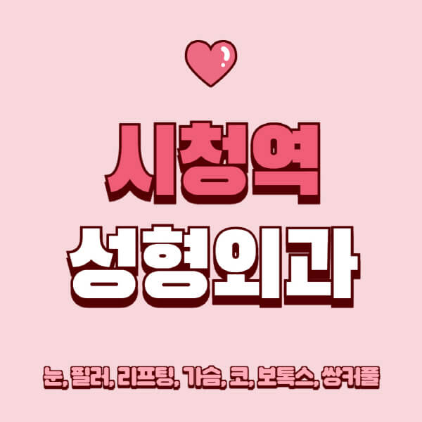 시청역-성형외과-추천-유명한-곳-일요일-전문의-잘하는-곳-눈-필러-리프팅-가슴-코-보톡스-쌍커풀-후기
