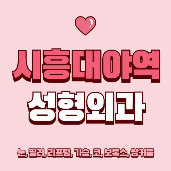 시흥대야역-성형외과-추천-유명한-곳-일요일-전문의-잘하는-곳-눈-필러-리프팅-가슴-코-보톡스-쌍커풀-후기