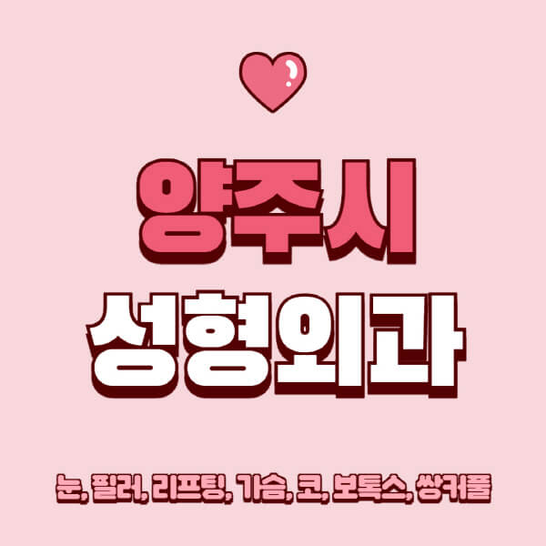 양주시-성형외과-추천-유명한-곳-일요일-전문의-잘하는-곳-눈-필러-리프팅-가슴-코-보톡스-쌍커풀-후기