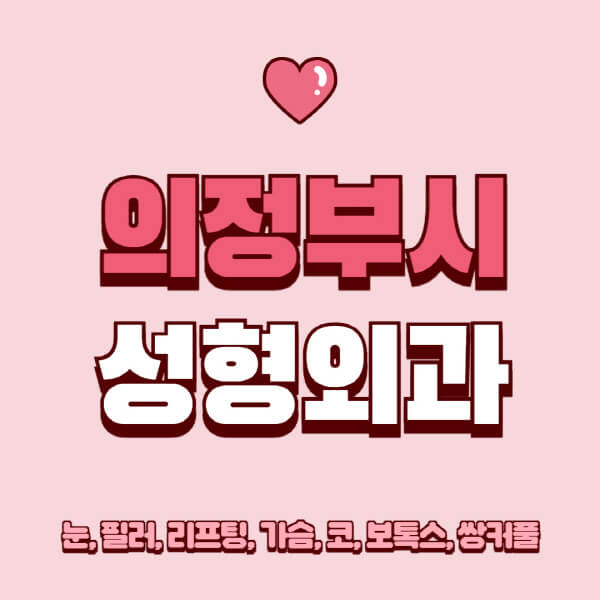 의정부시-성형외과-추천-유명한-곳-일요일-전문의-잘하는-곳-눈-필러-리프팅-가슴-코-보톡스-쌍커풀-후기