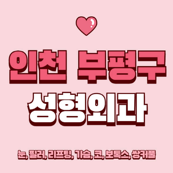 인천 부평구-성형외과-추천-유명한-곳-일요일-전문의-잘하는-곳-눈-필러-리프팅-가슴-코-보톡스-쌍커풀-후기