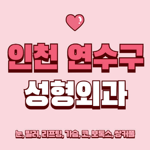 인천 연수구-성형외과-추천-유명한-곳-일요일-전문의-잘하는-곳-눈-필러-리프팅-가슴-코-보톡스-쌍커풀-후기