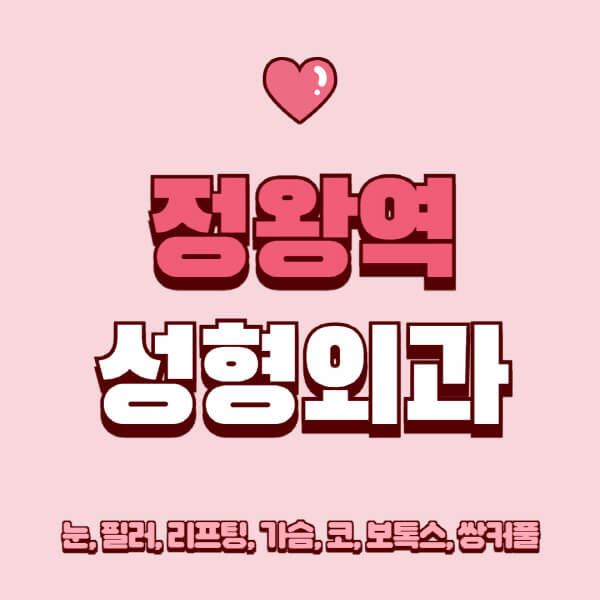정왕역-성형외과-추천-유명한-곳-일요일-전문의-잘하는-곳-눈-필러-리프팅-가슴-코-보톡스-쌍커풀-후기