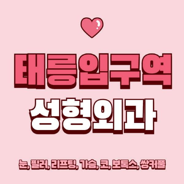 태릉입구역-성형외과-추천-유명한-곳-일요일-전문의-잘하는-곳-눈-필러-리프팅-가슴-코-보톡스-쌍커풀-후기