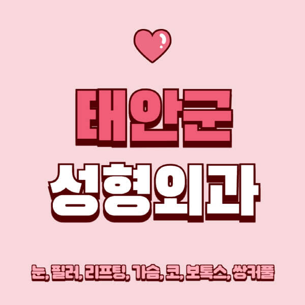태안군-성형외과-추천-유명한-곳-일요일-전문의-잘하는-곳-눈-필러-리프팅-가슴-코-보톡스-쌍커풀-후기