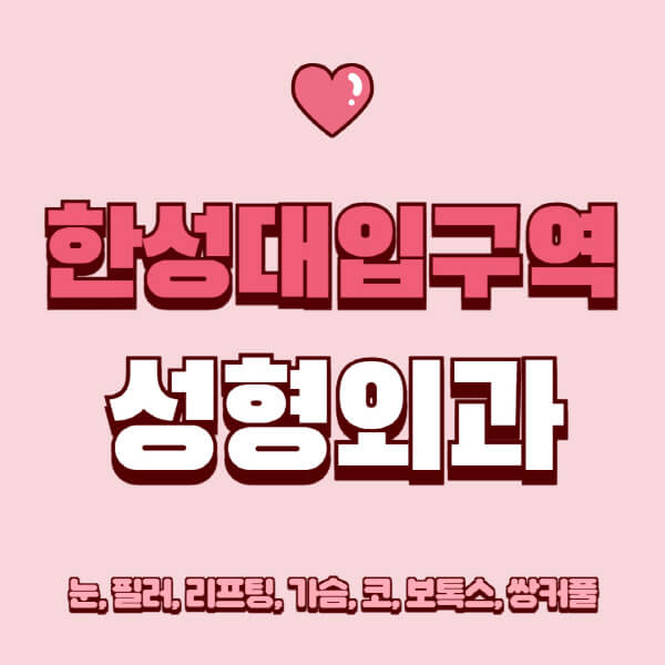 한성대입구역-성형외과-추천-유명한-곳-일요일-전문의-잘하는-곳-눈-필러-리프팅-가슴-코-보톡스-쌍커풀-후기