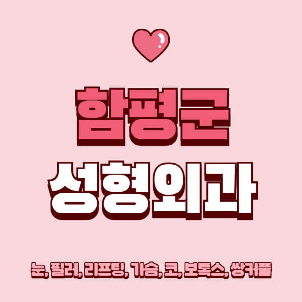 함평군-성형외과-추천-유명한-곳-일요일-전문의-잘하는-곳-눈-필러-리프팅-가슴-코-보톡스-쌍커풀-후기