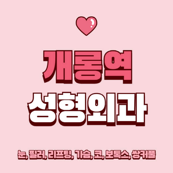 개롱역-성형외과-추천-유명한-곳-일요일-전문의-잘하는-곳-눈-필러-리프팅-가슴-코-보톡스-쌍커풀-후기