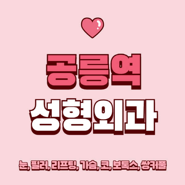공릉역-성형외과-추천-유명한-곳-일요일-전문의-잘하는-곳-눈-필러-리프팅-가슴-코-보톡스-쌍커풀-후기