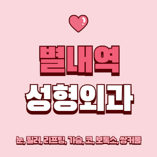 별내역-성형외과-추천-유명한-곳-일요일-전문의-잘하는-곳-눈-필러-리프팅-가슴-코-보톡스-쌍커풀-후기