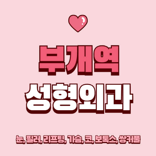 부개역-성형외과-추천-유명한-곳-일요일-전문의-잘하는-곳-눈-필러-리프팅-가슴-코-보톡스-쌍커풀-후기