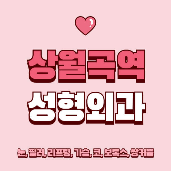 상월곡역-성형외과-추천-유명한-곳-일요일-전문의-잘하는-곳-눈-필러-리프팅-가슴-코-보톡스-쌍커풀-후기