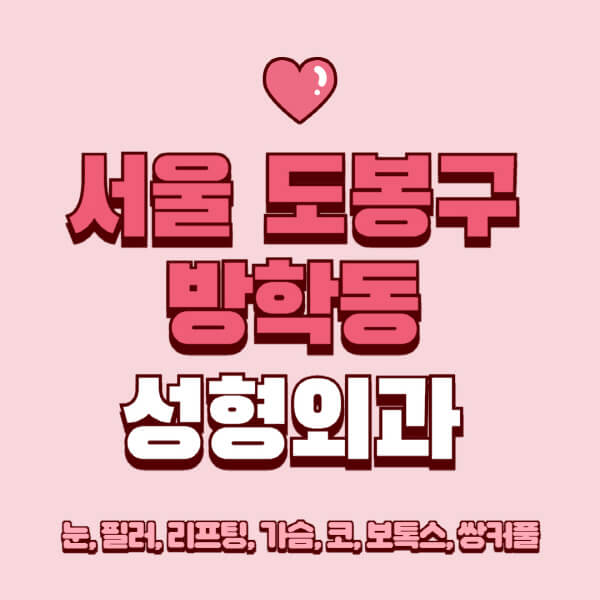 서울 도봉구 방학동-성형외과-추천-유명한-곳-일요일-전문의-잘하는-곳-눈-필러-리프팅-가슴-코-보톡스-쌍커풀-후기