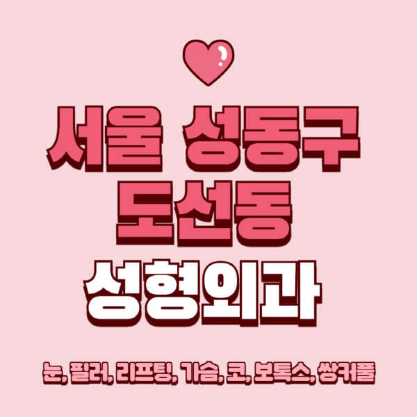서울 성동구 도선동-성형외과-추천-유명한-곳-일요일-전문의-잘하는-곳-눈-필러-리프팅-가슴-코-보톡스-쌍커풀-후기