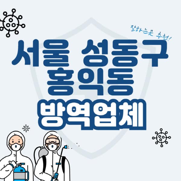 서울-성동구-홍익동-방역업체-잘하는-곳-추천-아파트-빌라-원룸-상가-방역-비용-가격표-해충-바퀴벌레-쥐-빈대-퇴치