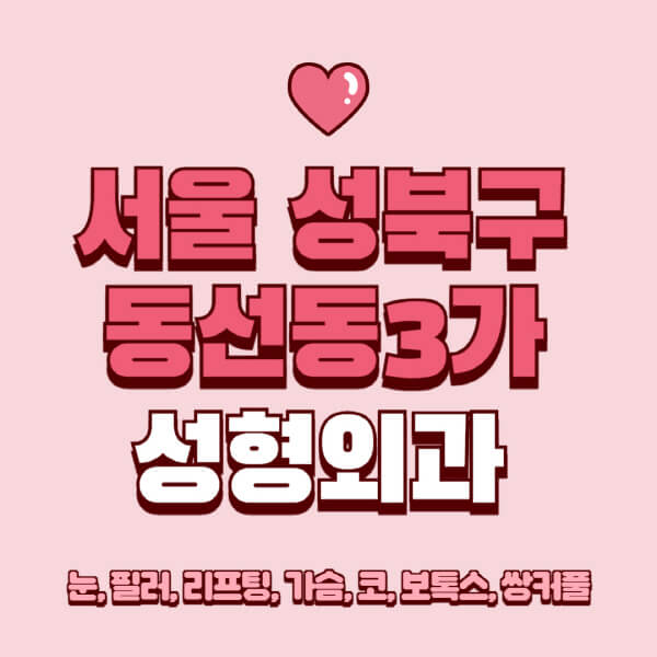 서울 성북구 동선동3가-성형외과-추천-유명한-곳-일요일-전문의-잘하는-곳-눈-필러-리프팅-가슴-코-보톡스-쌍커풀-후기