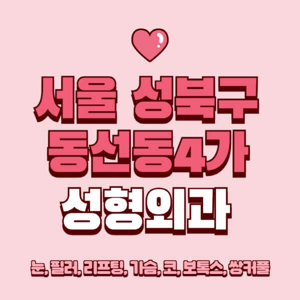 서울 성북구 동선동4가-성형외과-추천-유명한-곳-일요일-전문의-잘하는-곳-눈-필러-리프팅-가슴-코-보톡스-쌍커풀-후기