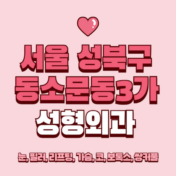 서울 성북구 동소문동3가-성형외과-추천-유명한-곳-일요일-전문의-잘하는-곳-눈-필러-리프팅-가슴-코-보톡스-쌍커풀-후기
