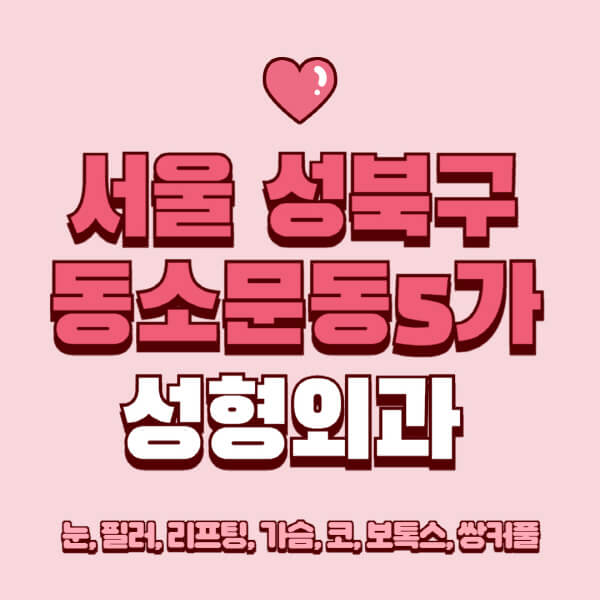 서울 성북구 동소문동5가-성형외과-추천-유명한-곳-일요일-전문의-잘하는-곳-눈-필러-리프팅-가슴-코-보톡스-쌍커풀-후기
