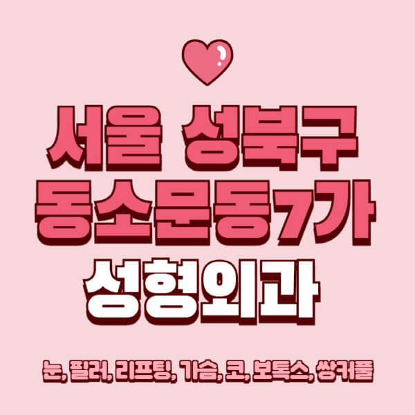 서울 성북구 동소문동7가-성형외과-추천-유명한-곳-일요일-전문의-잘하는-곳-눈-필러-리프팅-가슴-코-보톡스-쌍커풀-후기