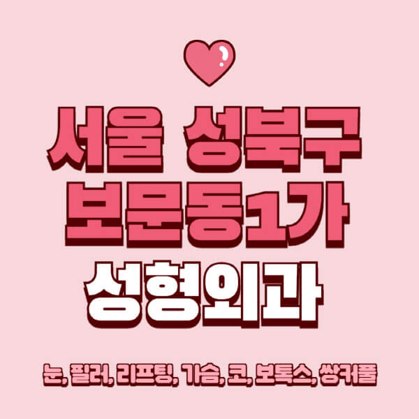 서울 성북구 보문동1가-성형외과-추천-유명한-곳-일요일-전문의-잘하는-곳-눈-필러-리프팅-가슴-코-보톡스-쌍커풀-후기