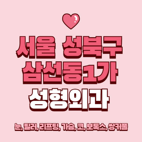 서울 성북구 삼선동1가-성형외과-추천-유명한-곳-일요일-전문의-잘하는-곳-눈-필러-리프팅-가슴-코-보톡스-쌍커풀-후기