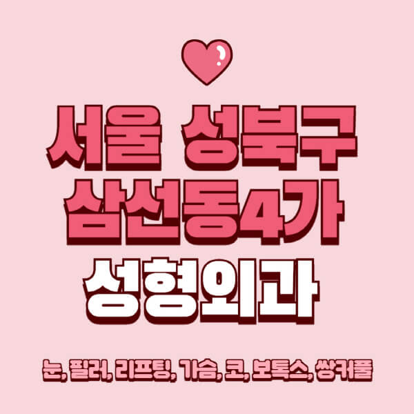 서울-성북구-삼선동4가-성형외과-추천-유명한-곳-일요일-전문의-잘하는-곳-눈-필러-리프팅-가슴-코-보톡스-쌍커풀-후기