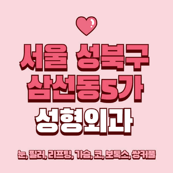 서울 성북구 삼선동5가-성형외과-추천-유명한-곳-일요일-전문의-잘하는-곳-눈-필러-리프팅-가슴-코-보톡스-쌍커풀-후기