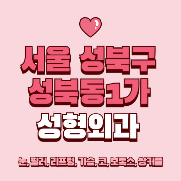 서울 성북구 성북동1가-성형외과-추천-유명한-곳-일요일-전문의-잘하는-곳-눈-필러-리프팅-가슴-코-보톡스-쌍커풀-후기